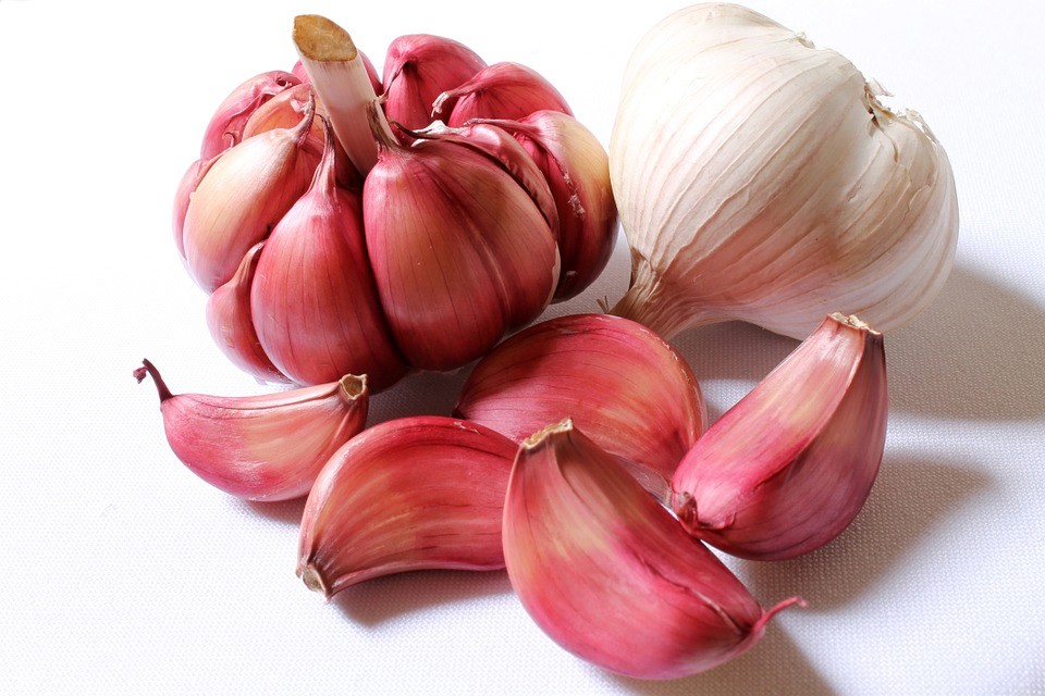 garlic-618400_960_720