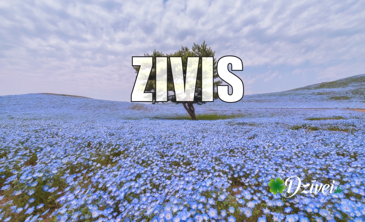 zivs