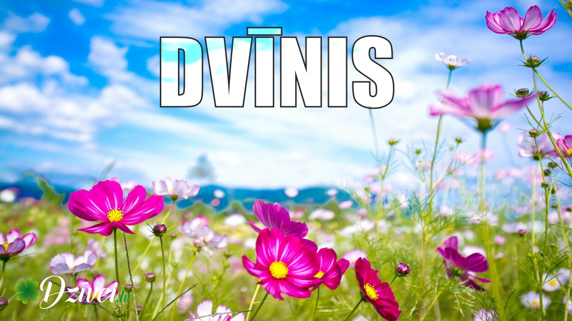 dvinis