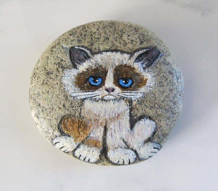 898ddc591c4212d8a29d94c263cc225b--pet-rocks-grumpy-cat