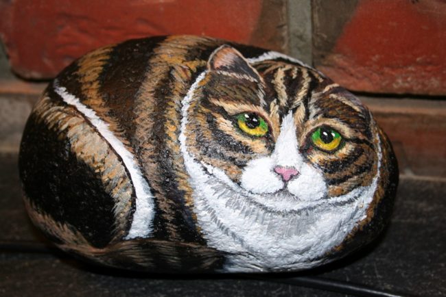 Painted-cat-rocks-650x434