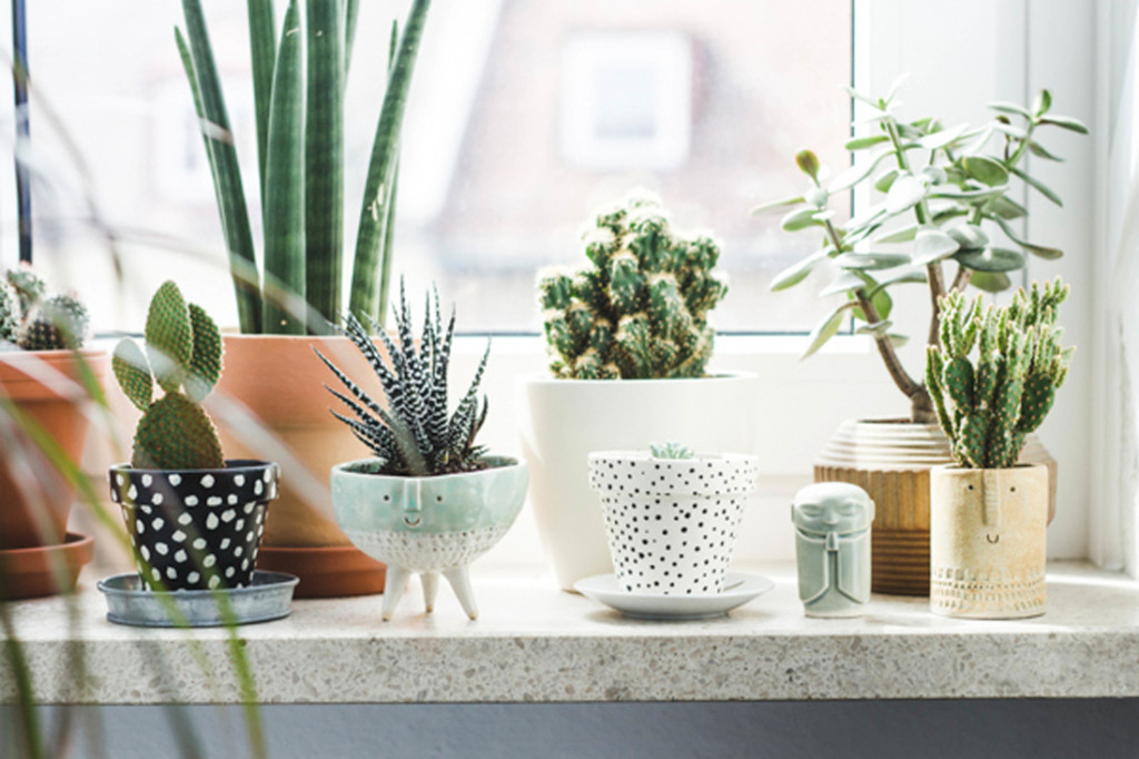 pretty-small-pots-decor-at-window-1024x682